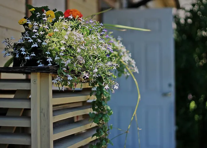 Rannaroosi Guesthouse *